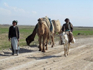 Транспорт в Афганистане